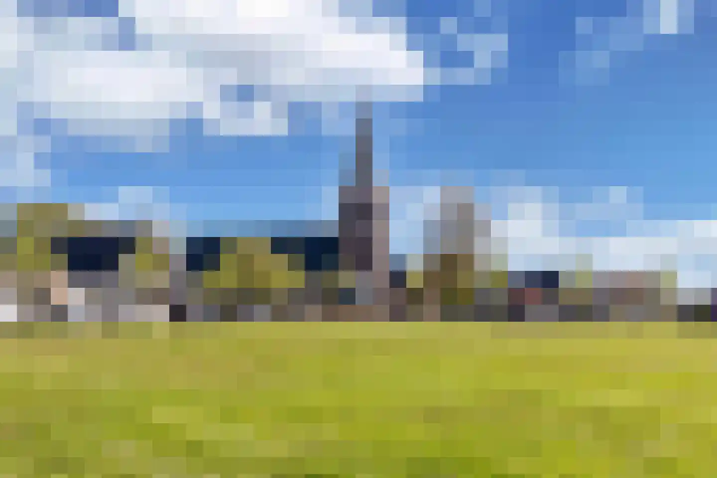 Terp 6 Wommels thumbnail 39