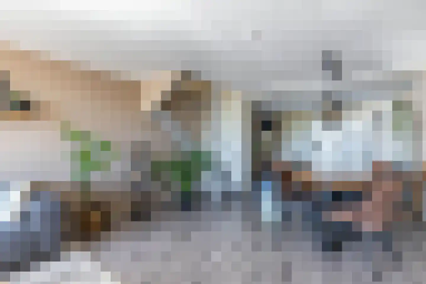 Terp 6 Wommels thumbnail 6