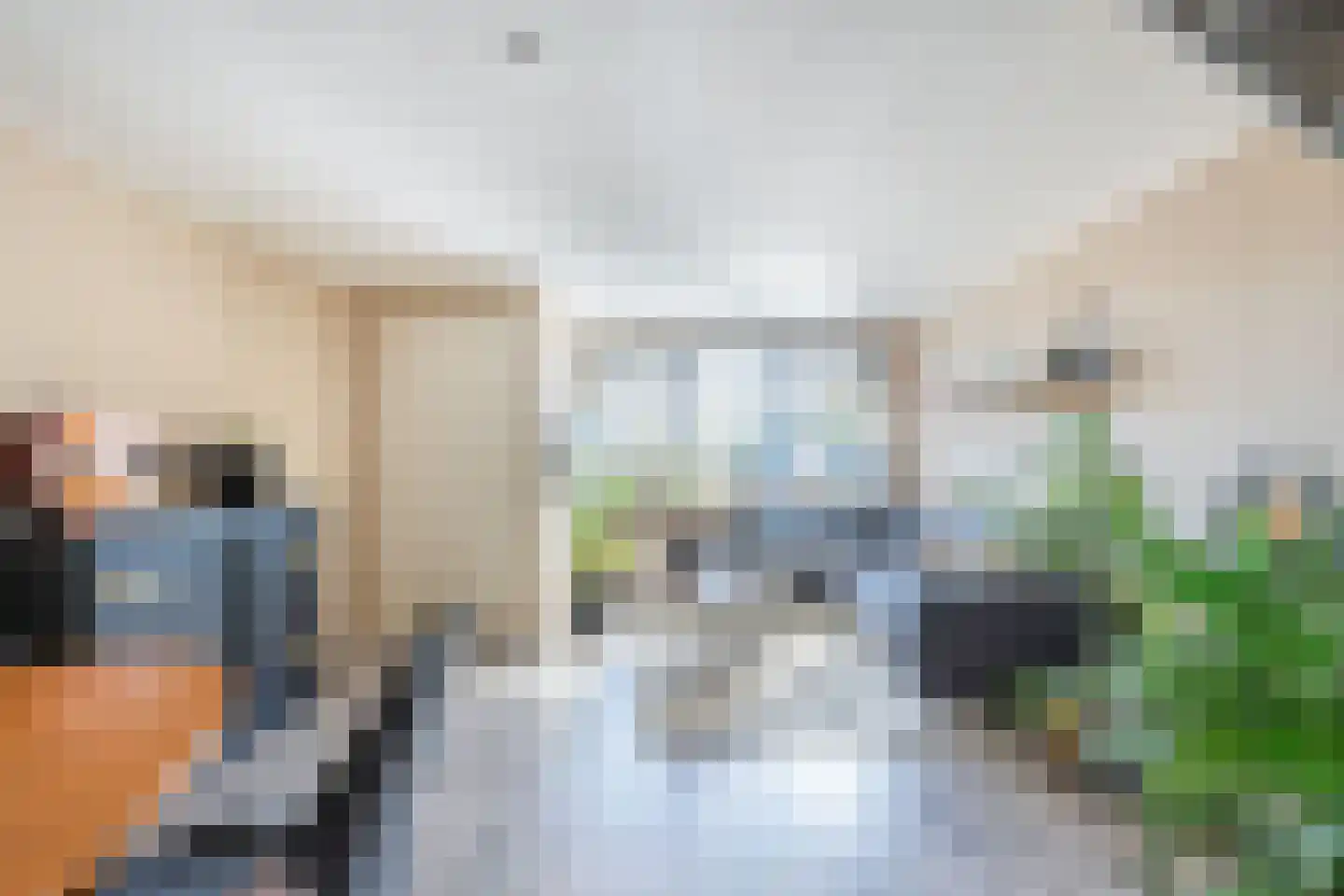Terp 6 Wommels thumbnail 7