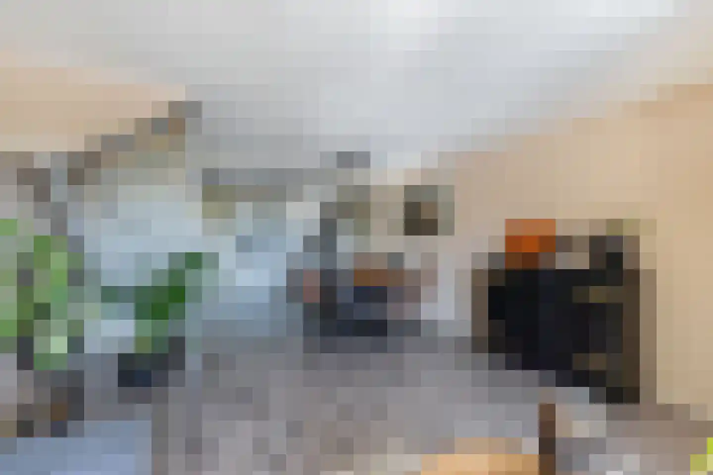 Terp 6 Wommels thumbnail 8