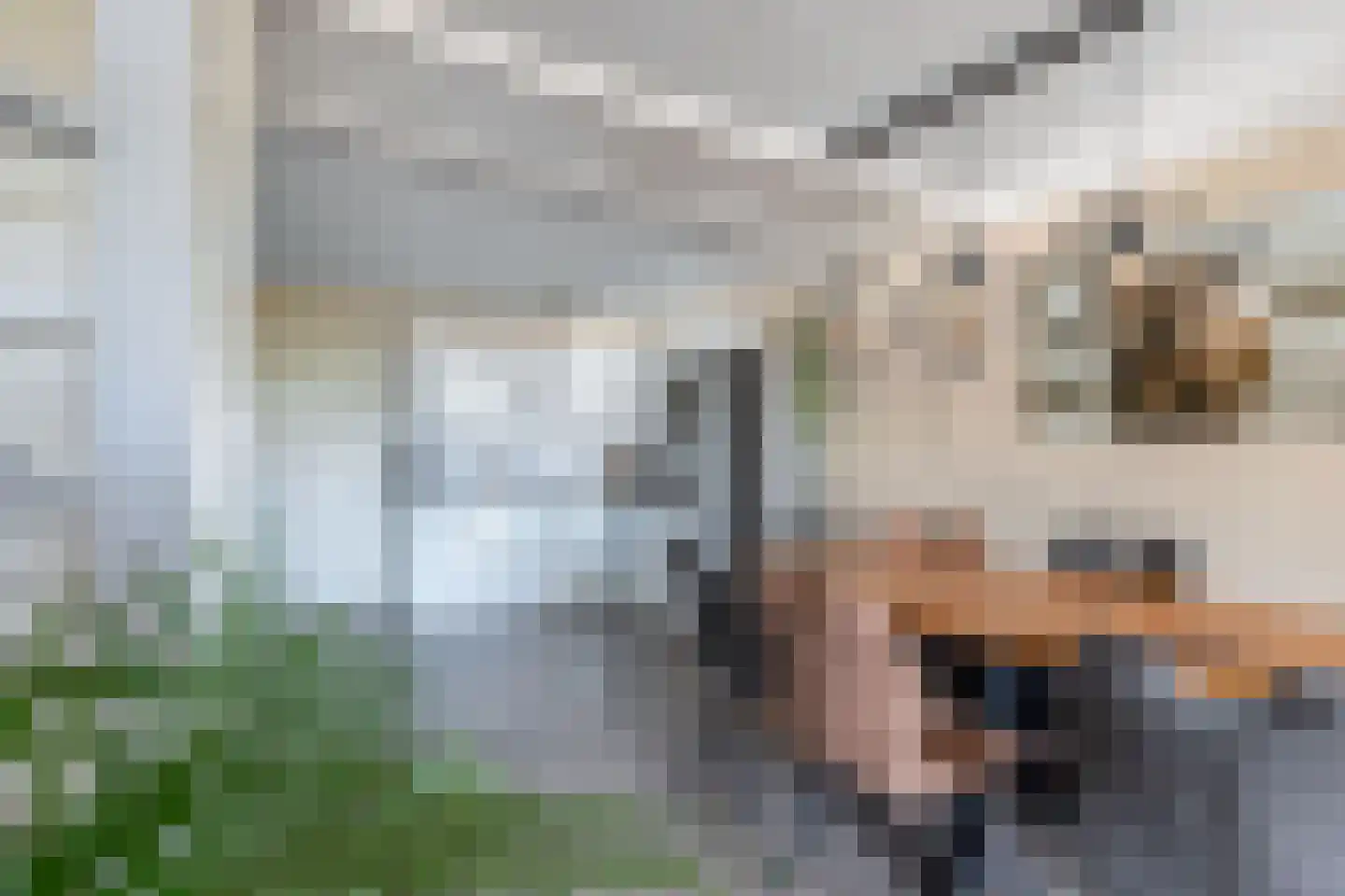 Terp 6 Wommels thumbnail 9