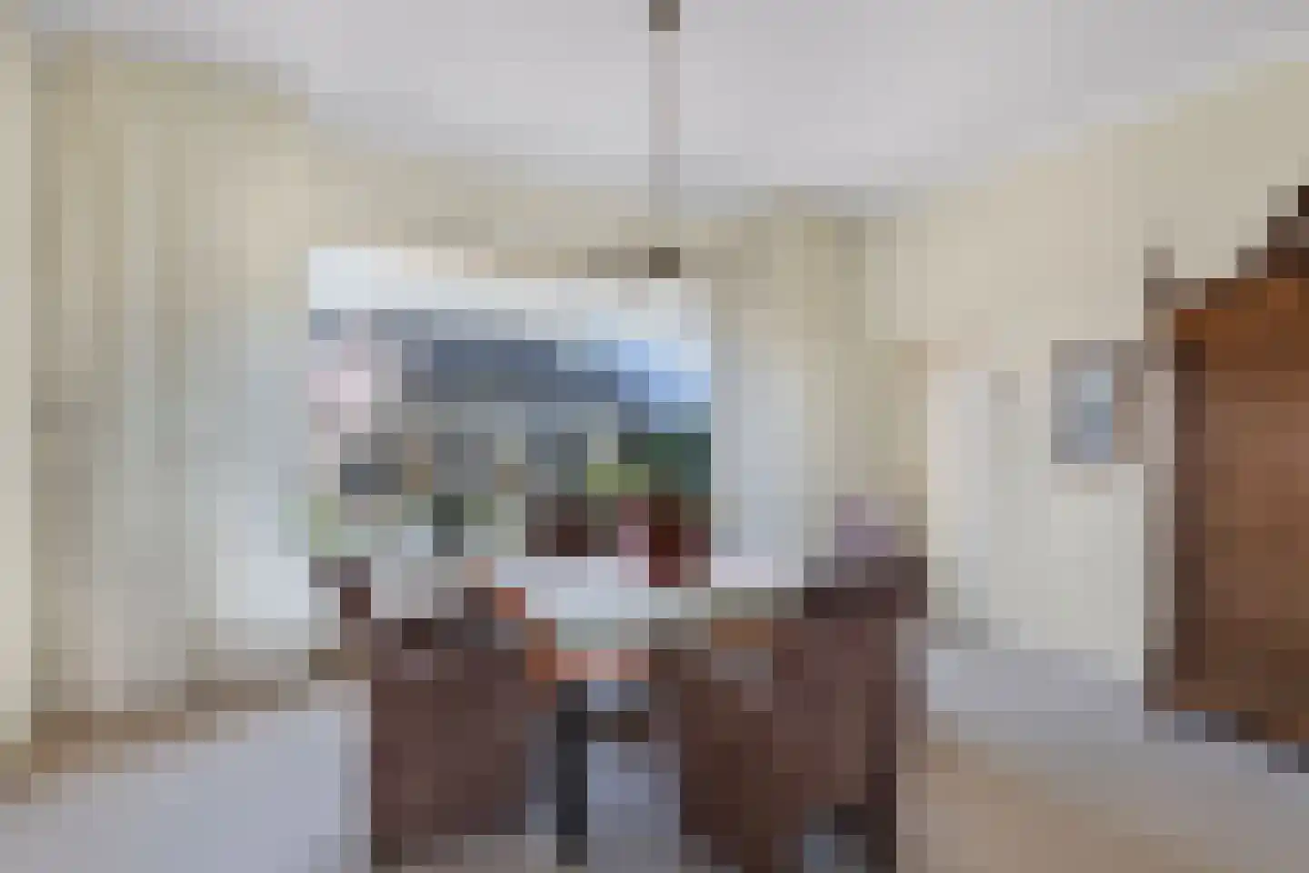 Terp 7 Sexbierum thumbnail 12
