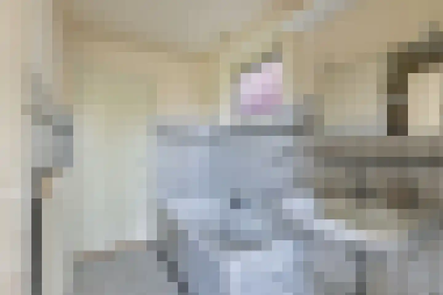Terp 7 Sexbierum thumbnail 22