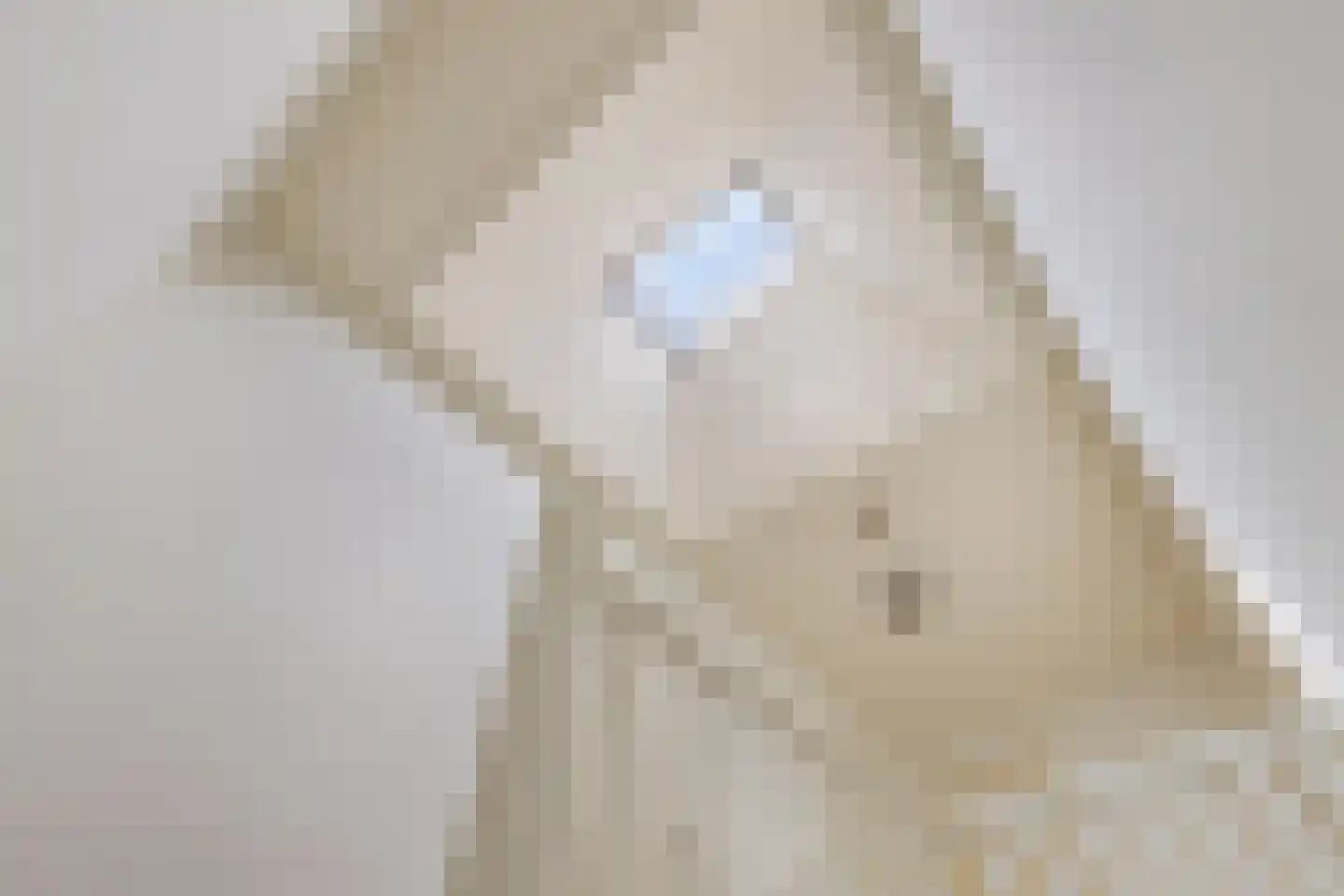 Terp 7 Sexbierum thumbnail 26