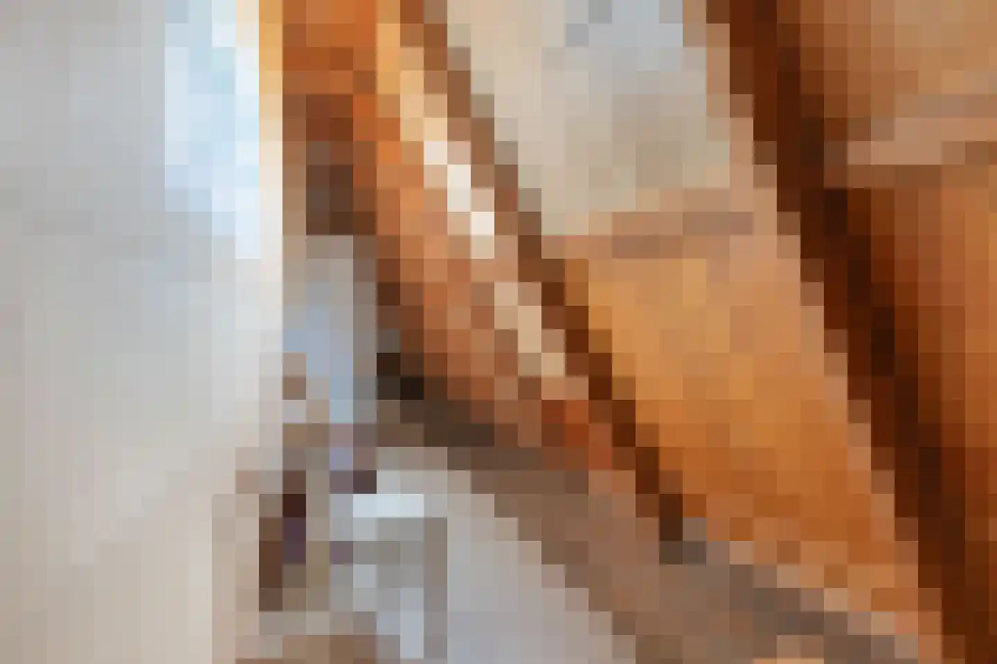 Terp 7 Sexbierum thumbnail 34