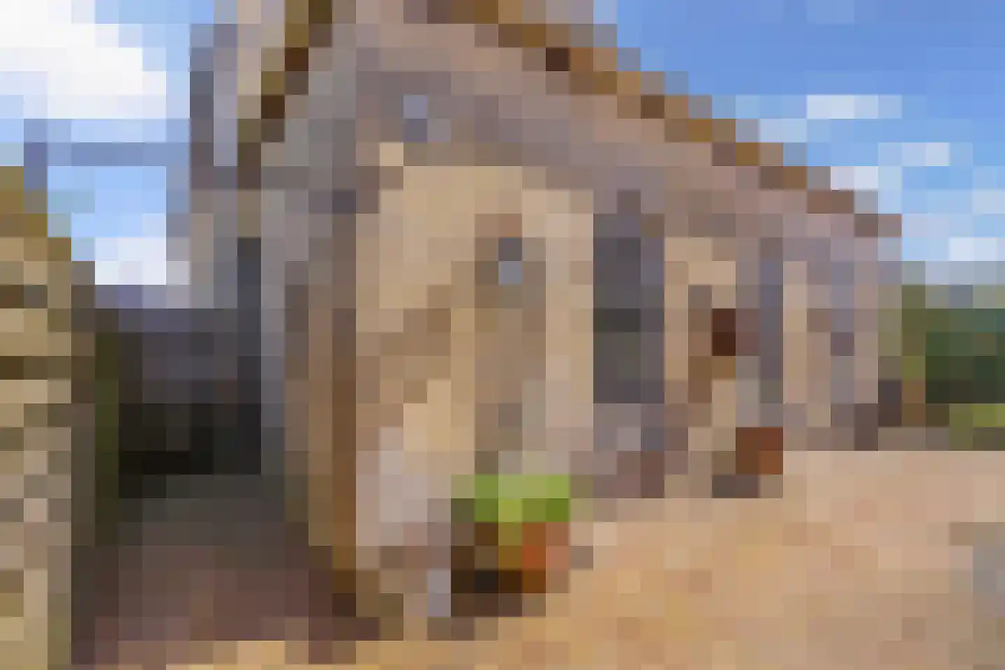 Terp 7 Sexbierum thumbnail 43