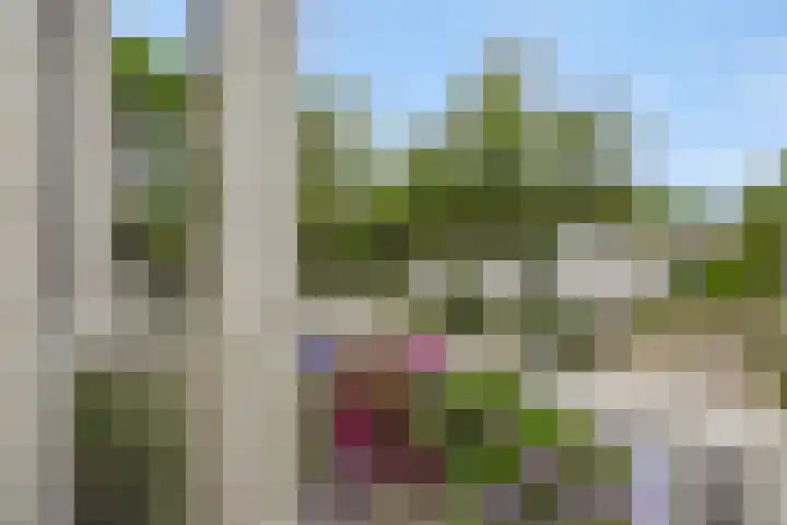 Terpeborch 16 A Rosmalen thumbnail 12