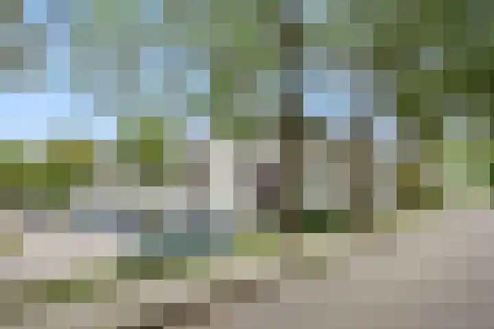 Terpeborch 16 A Rosmalen thumbnail 21