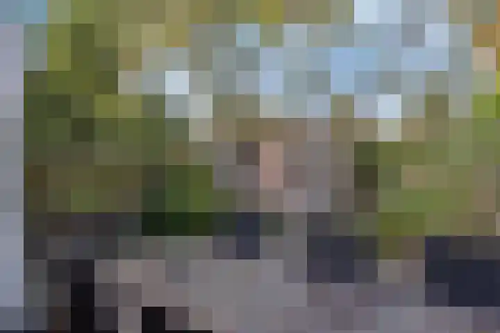Terpeborch 27 Rosmalen thumbnail 25