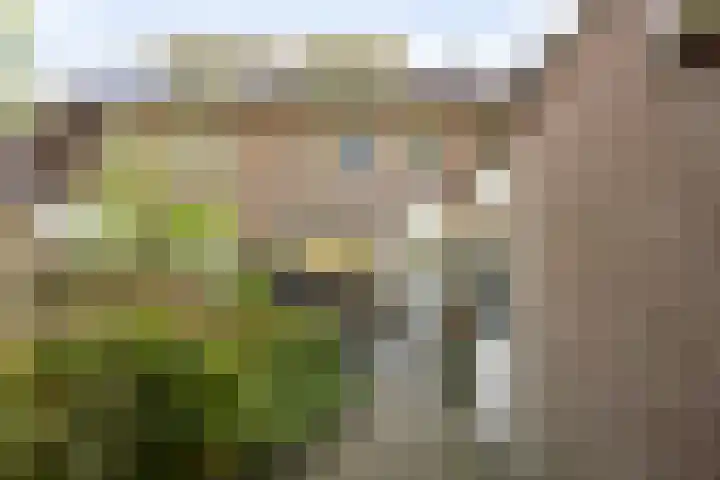 Terpeborch 27 Rosmalen thumbnail 26