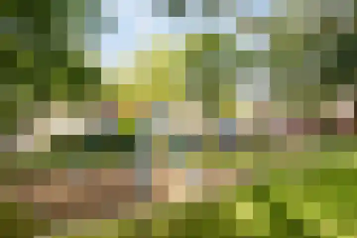 Terpeborch 27 Rosmalen thumbnail 27