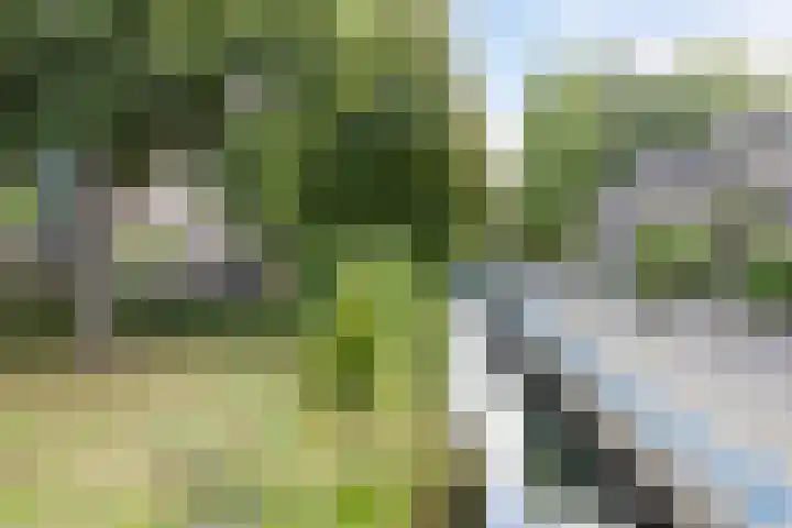 Terpeborch 27 Rosmalen thumbnail 28