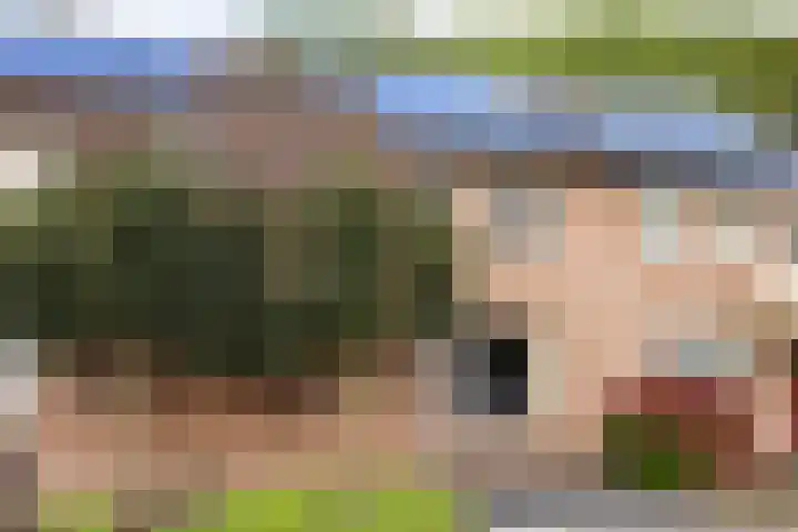 Terpeborch 27 Rosmalen thumbnail 29