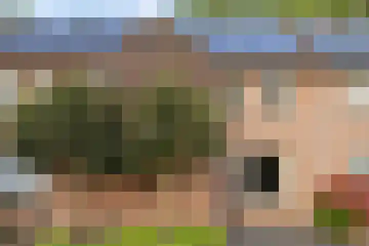 Terpeborch 27 Rosmalen thumbnail 31
