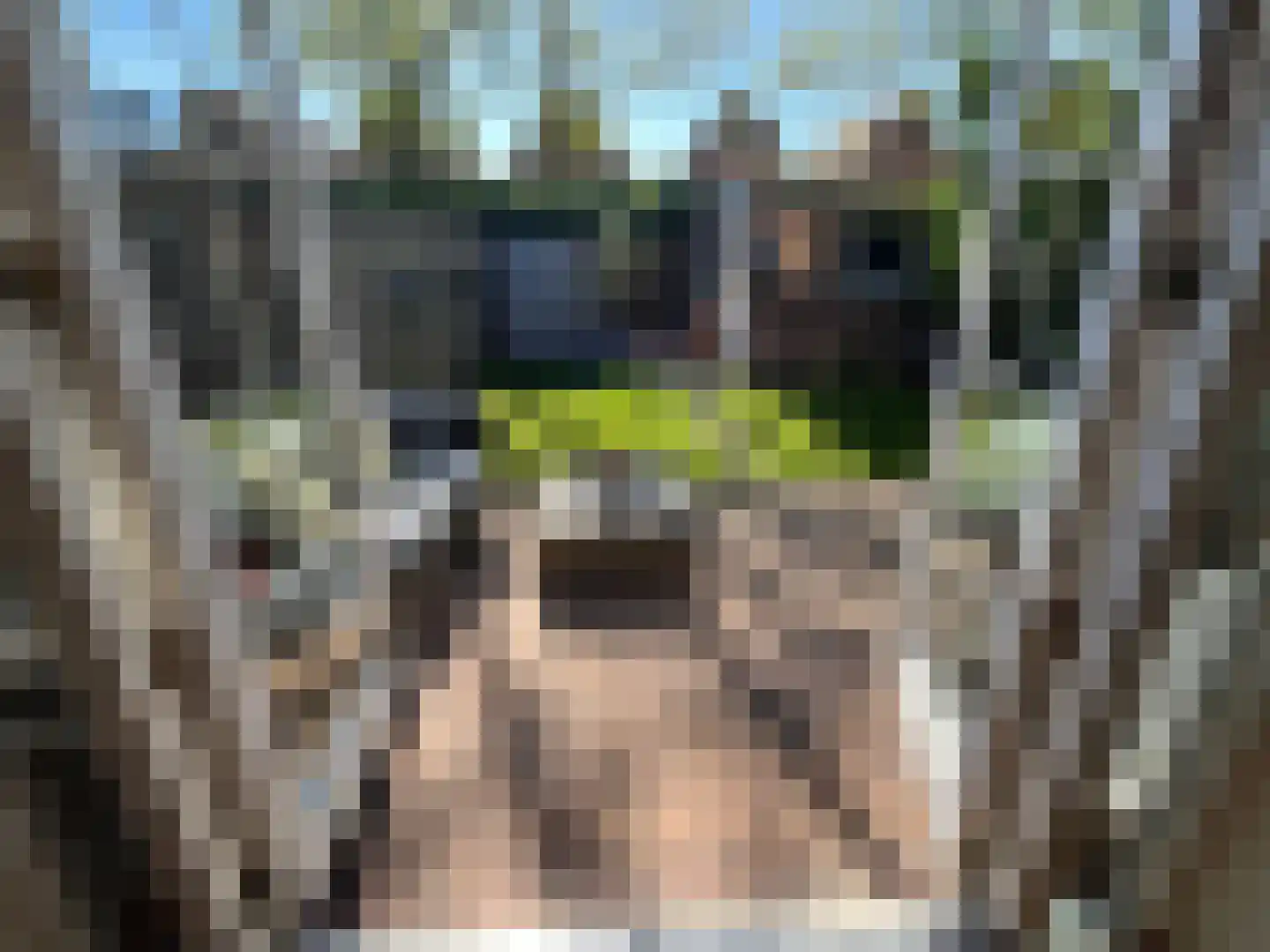 Terpeborch 29 Rosmalen thumbnail 34
