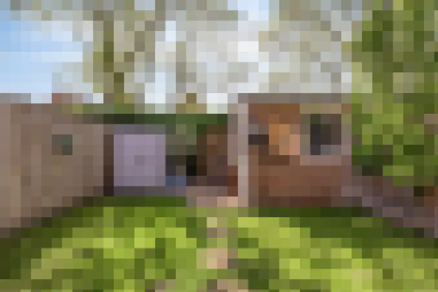 Terpeborch 29 Rosmalen thumbnail 37