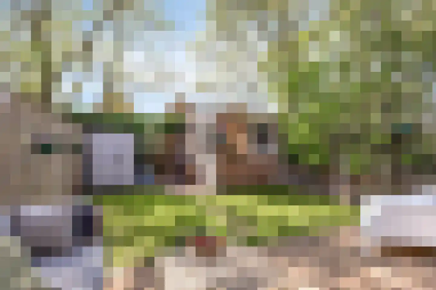 Terpeborch 29 Rosmalen thumbnail 4