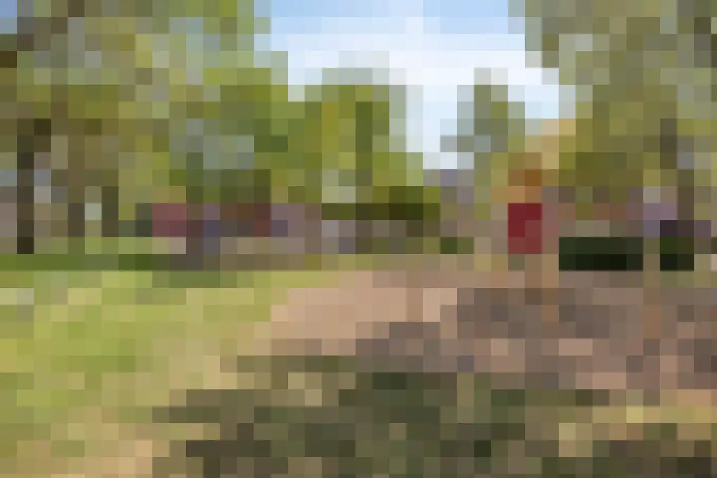 Terpeborch 29 Rosmalen thumbnail 41