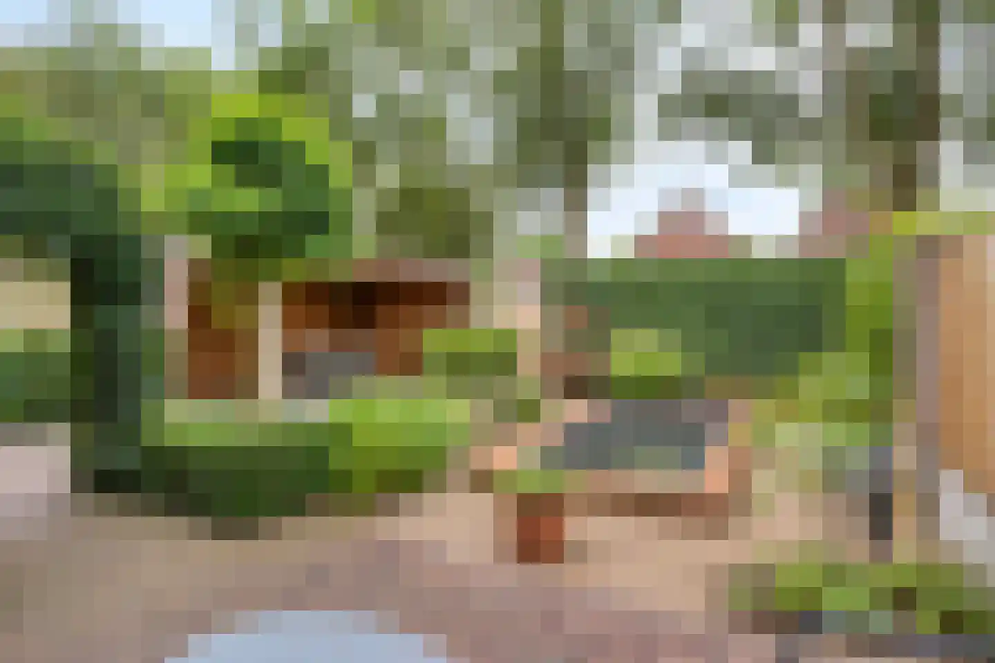 Terpeborch 35 Rosmalen thumbnail 10