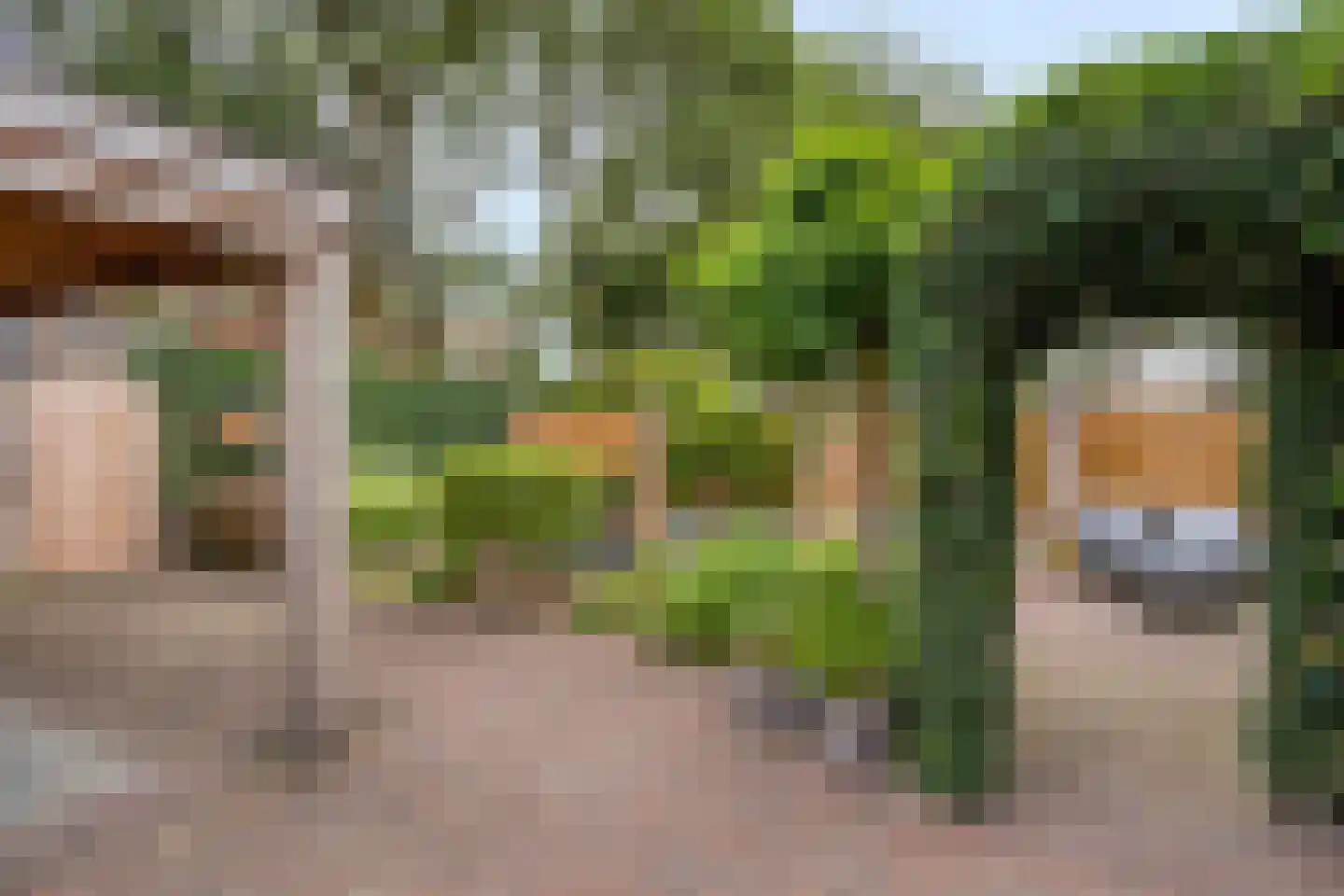 Terpeborch 35 Rosmalen thumbnail 11