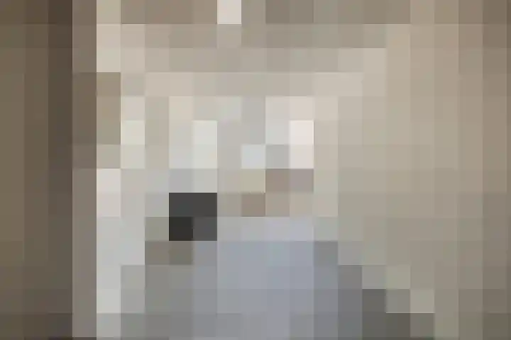 Terpeborch 8 Rosmalen thumbnail 10