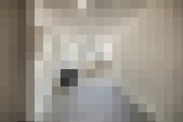 Terpeborch 8 Rosmalen thumbnail 11