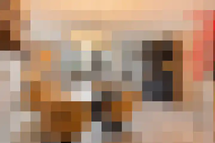 Terpeborch 8 Rosmalen thumbnail 22