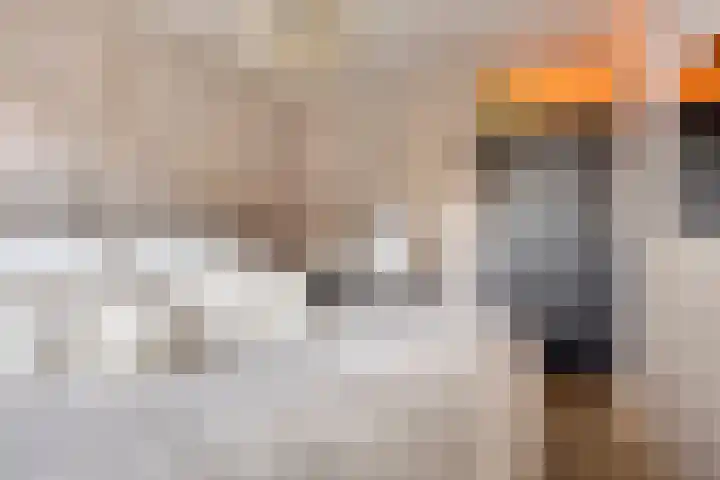 Terpeborch 8 Rosmalen thumbnail 33