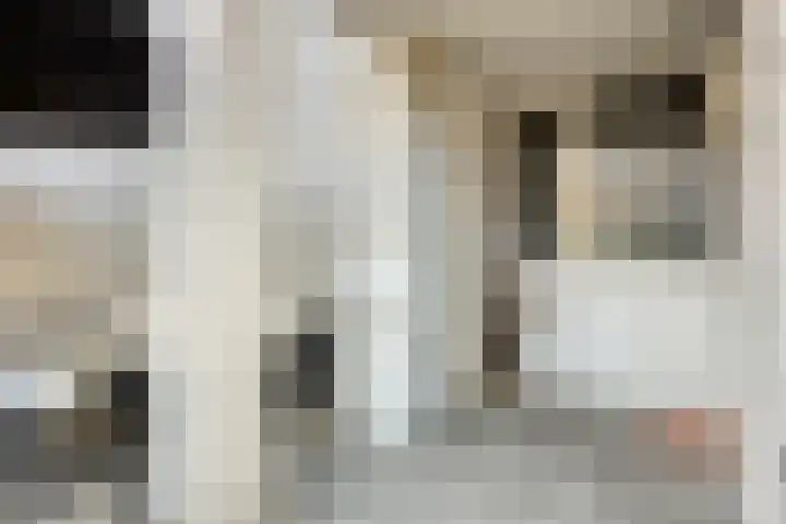 Terpeborch 8 Rosmalen thumbnail 47