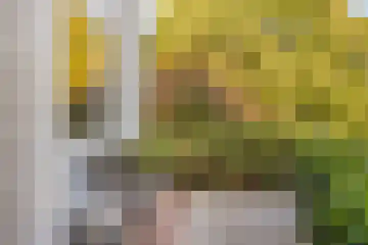 Terpeborch 8 Rosmalen thumbnail 52