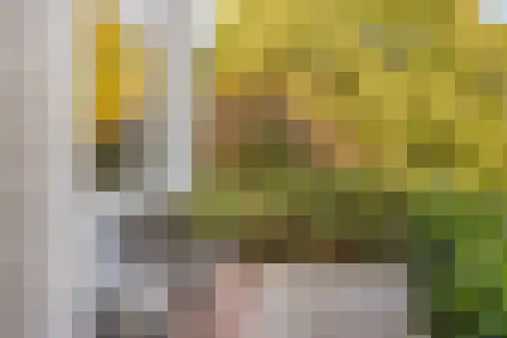 Terpeborch 8 Rosmalen thumbnail 53