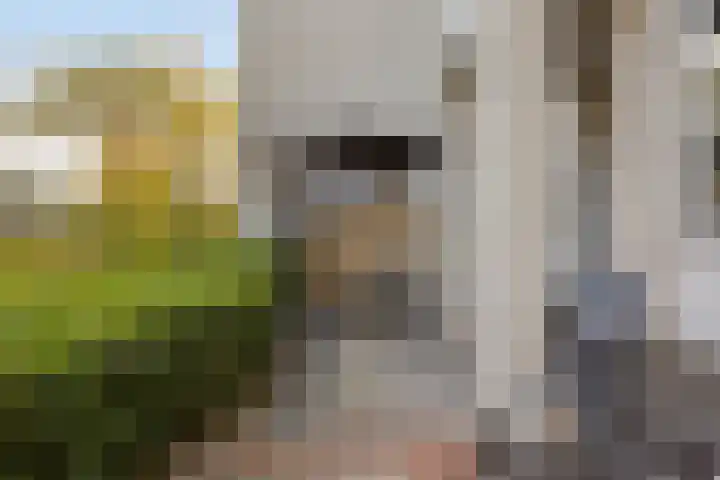 Terpeborch 8 Rosmalen thumbnail 54