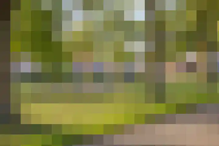 Terpeborch 8 Rosmalen thumbnail 61