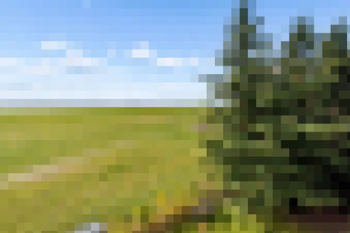 Terpmeent 40 Almere thumbnail 28