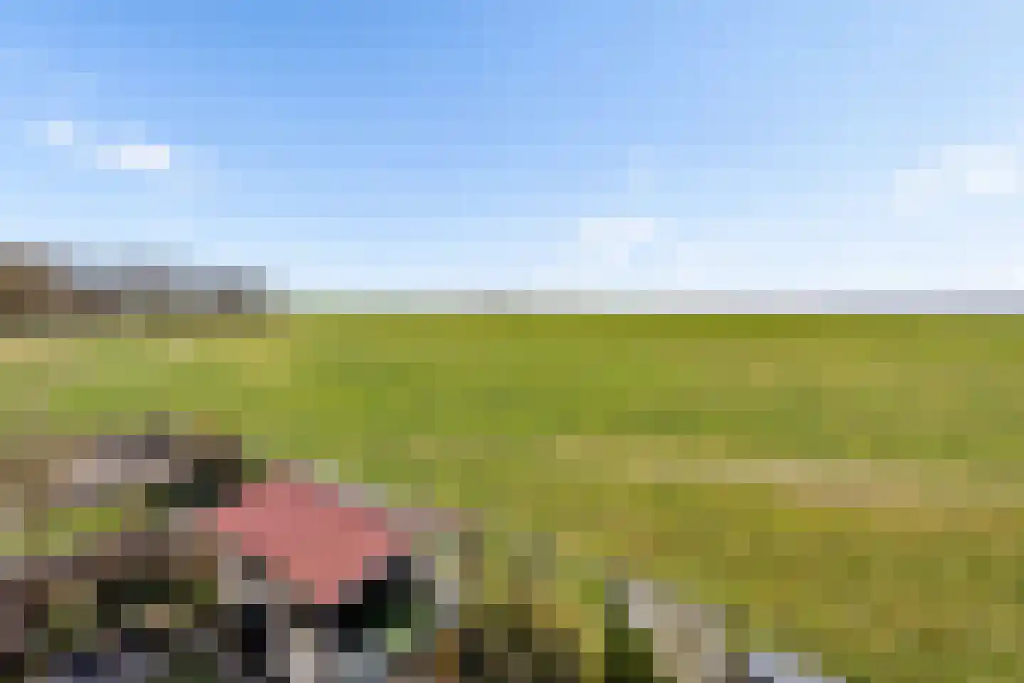 Terpmeent 40 Almere thumbnail 29
