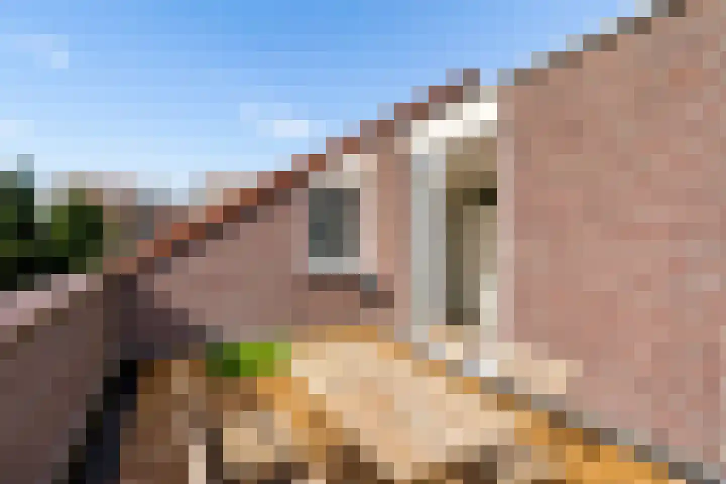 Terpmeent 40 Almere thumbnail 51