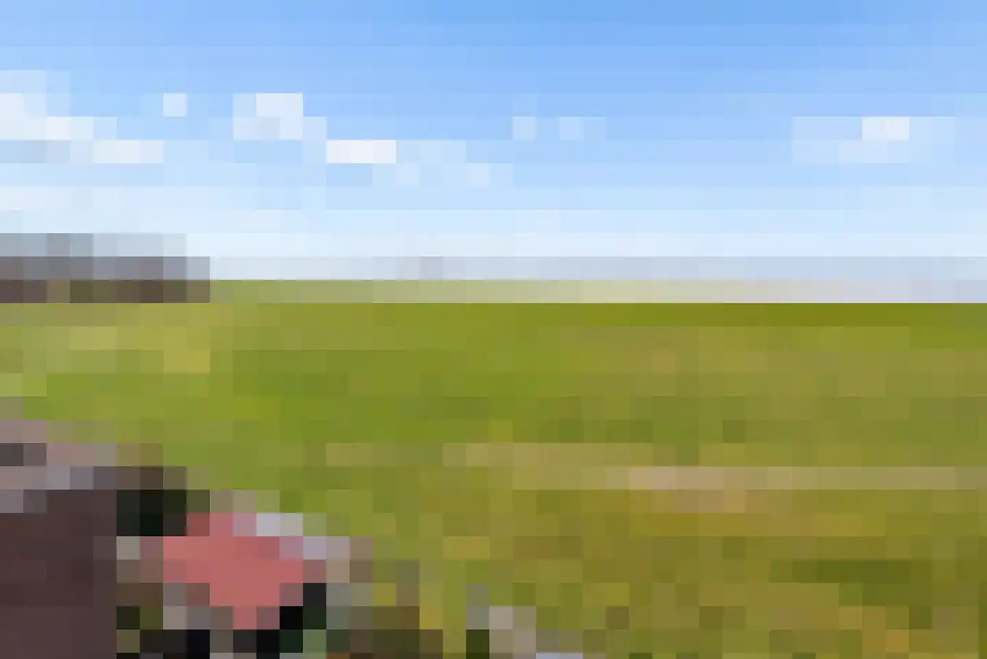 Terpmeent 40 Almere thumbnail 53