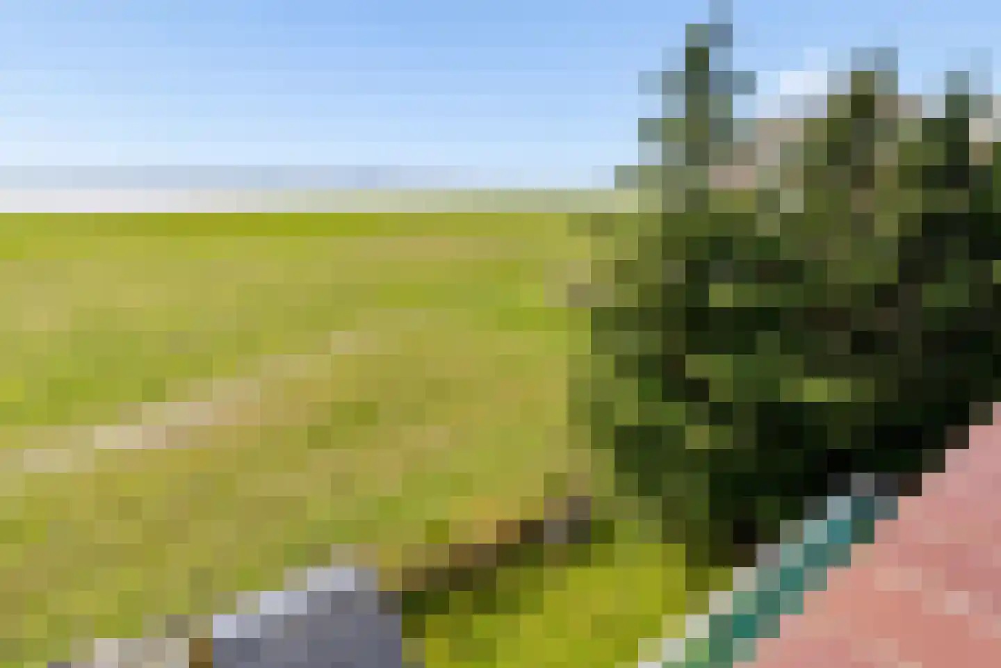 Terpmeent 40 Almere thumbnail 54