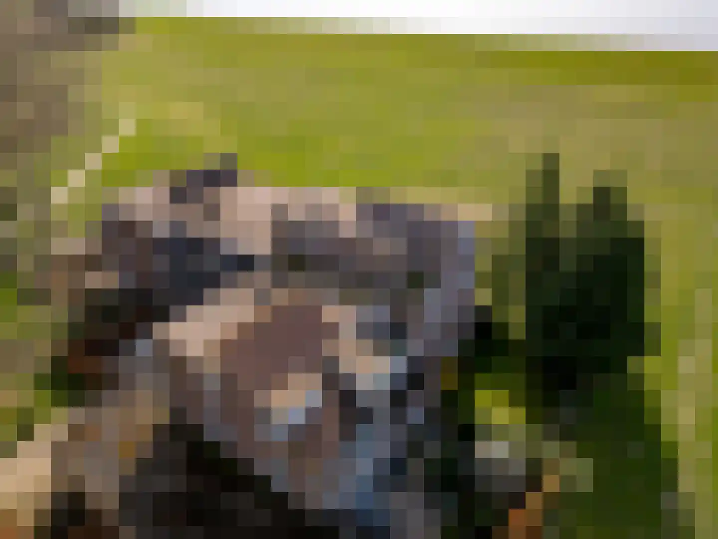Terpmeent 40 Almere thumbnail 73