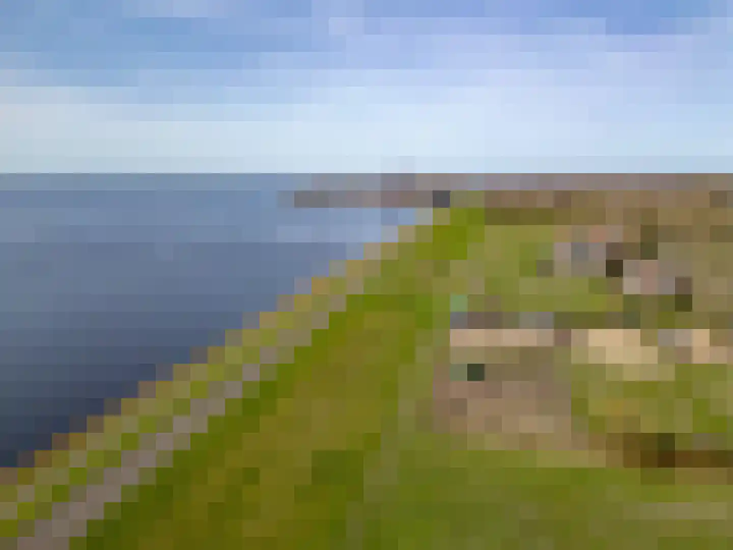 Terpmeent 40 Almere thumbnail 76