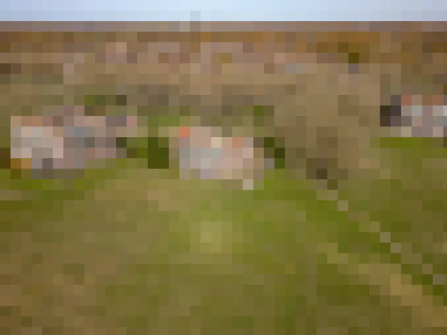 Terpmeent 40 Almere thumbnail 79