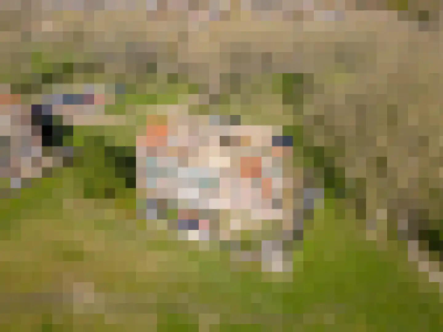 Terpmeent 40 Almere thumbnail 80