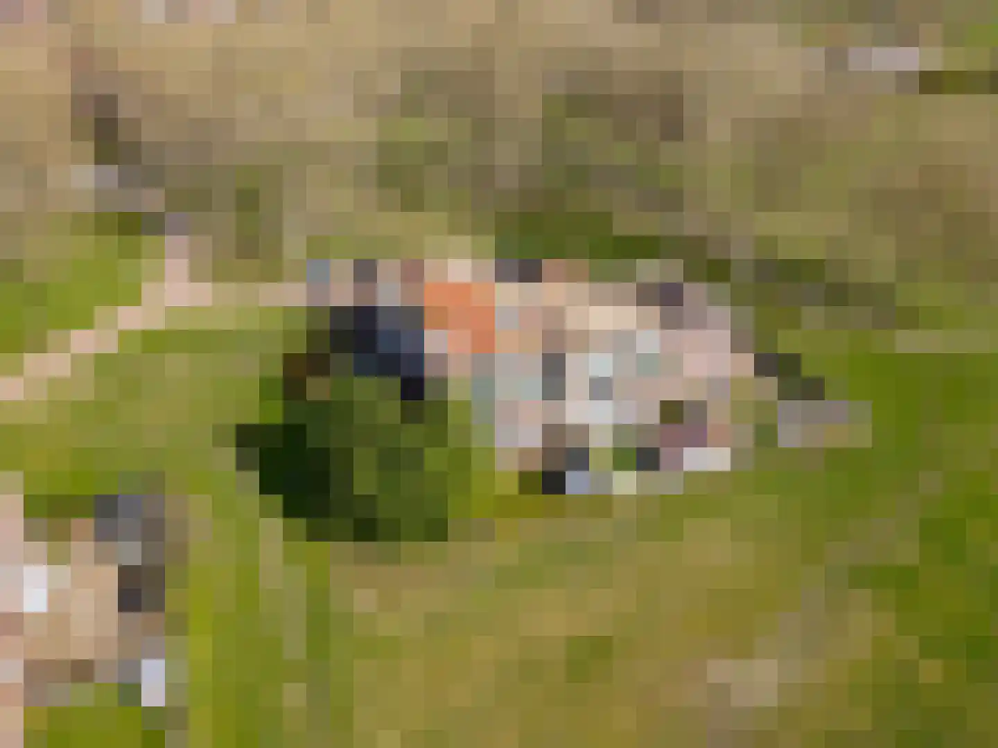 Terpmeent 40 Almere thumbnail 81