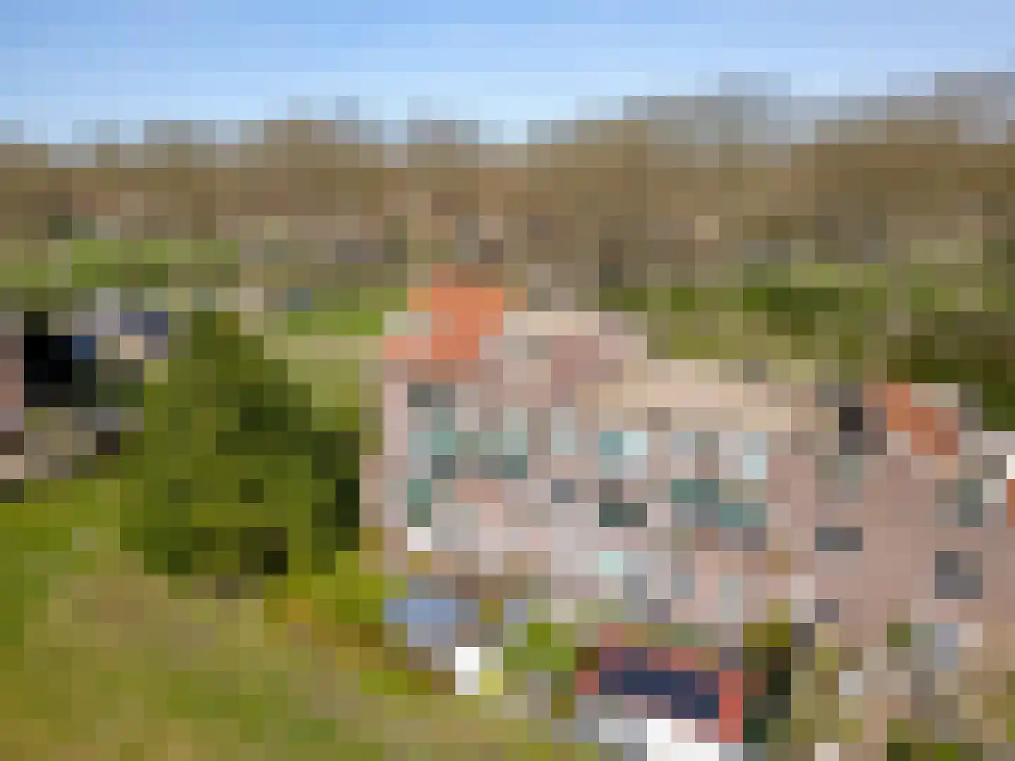 Terpmeent 40 Almere thumbnail 83