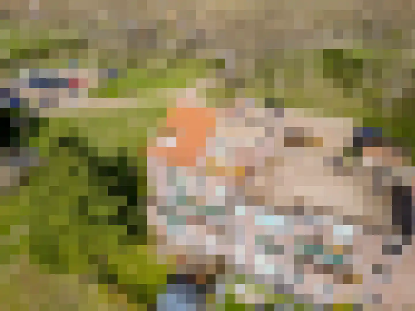 Terpmeent 40 Almere thumbnail 84
