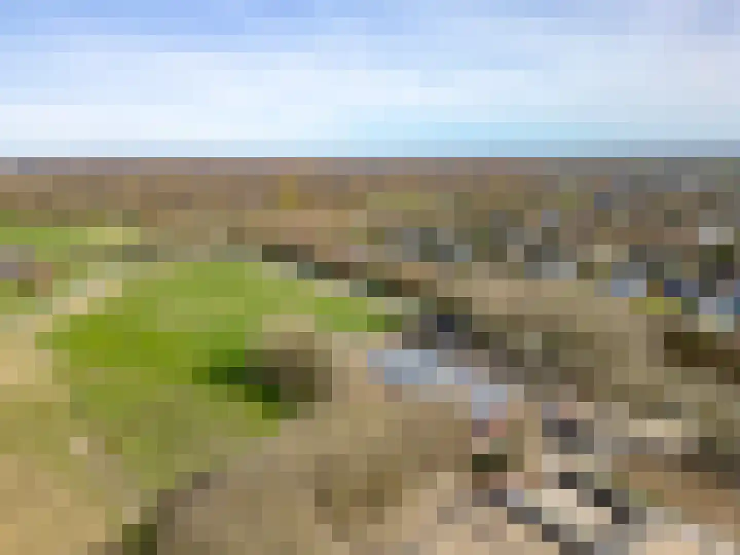 Terpmeent 40 Almere thumbnail 86