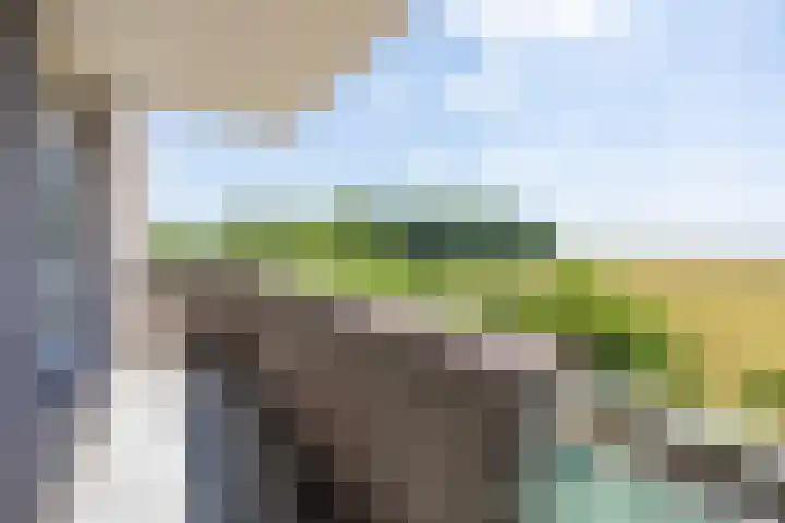 Terpmeent 49 Almere thumbnail 8
