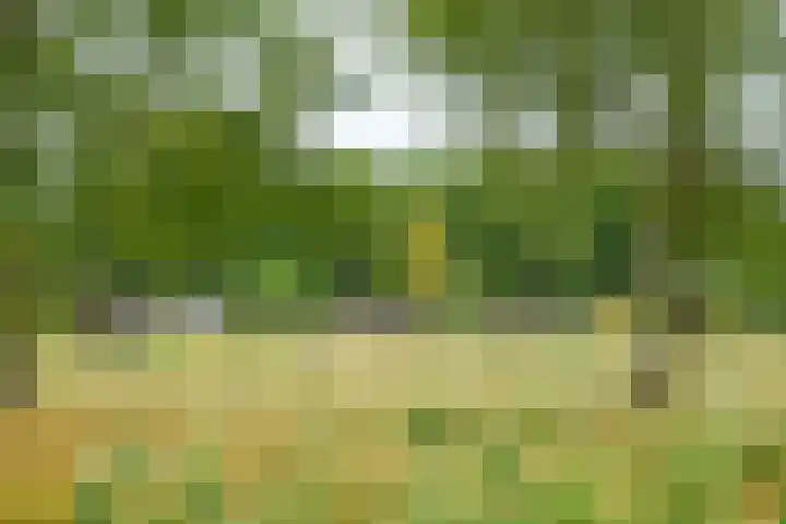 Terpmeent 5 Almere thumbnail 19