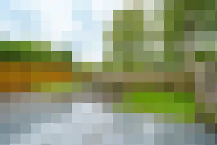 Terpmeent 5 Almere thumbnail 21