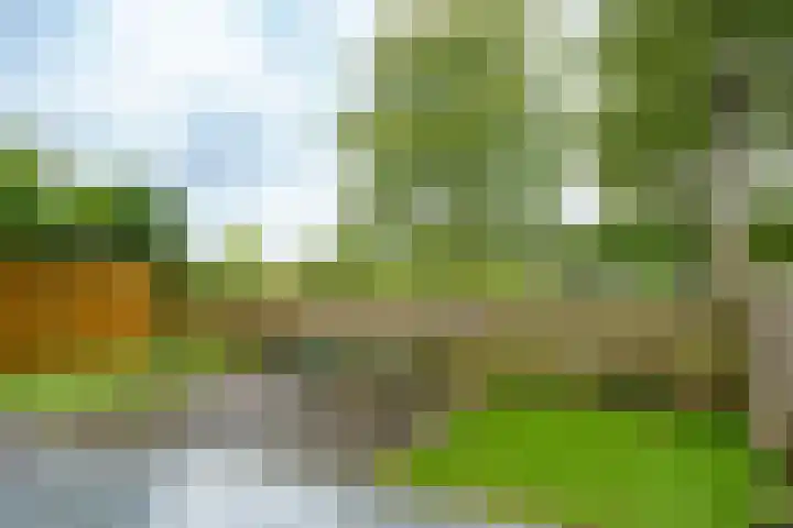 Terpmeent 5 Almere thumbnail 22